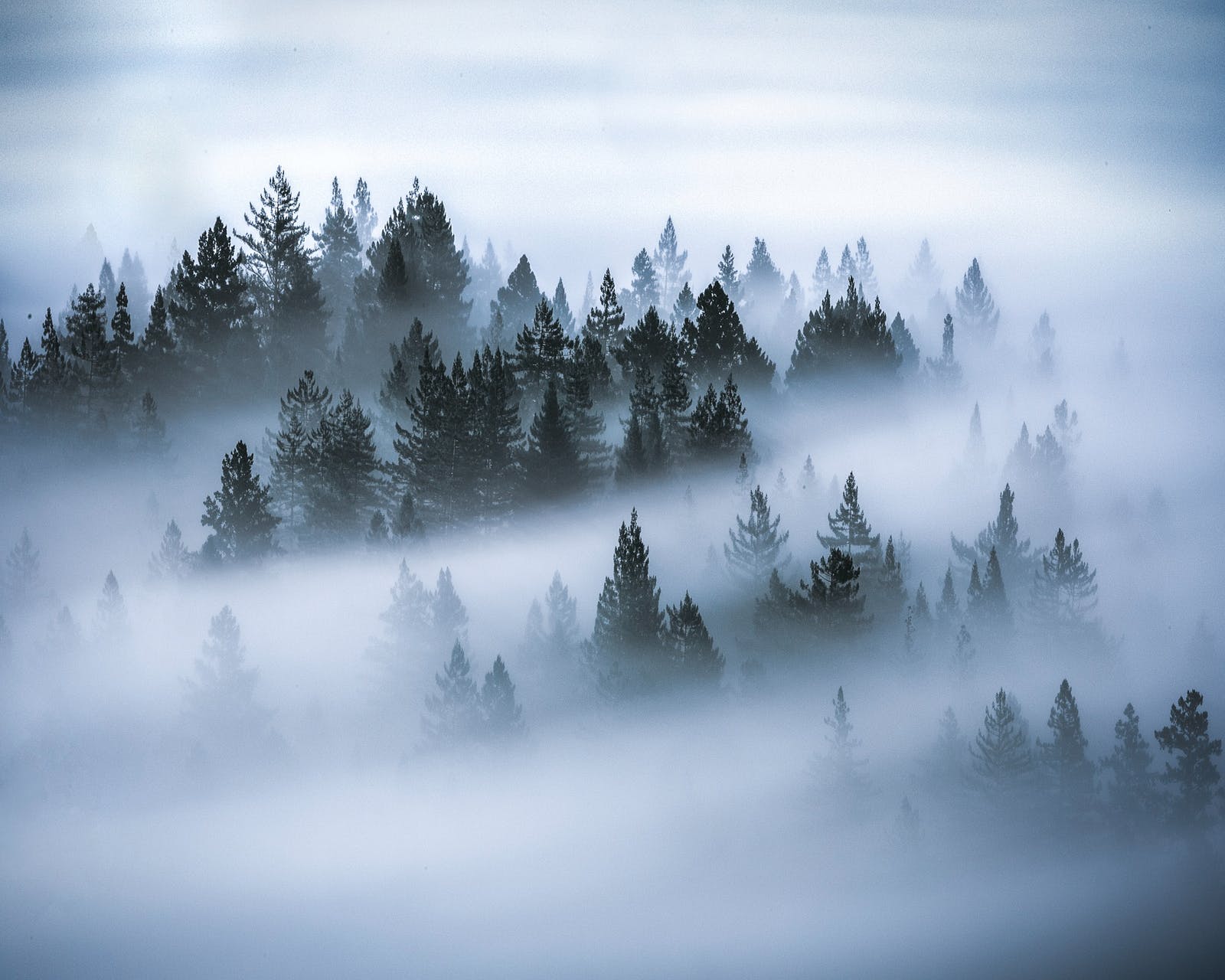 Geschmiedeter Vorsteckring mit Stein "Iveti 1" – Bild 9
